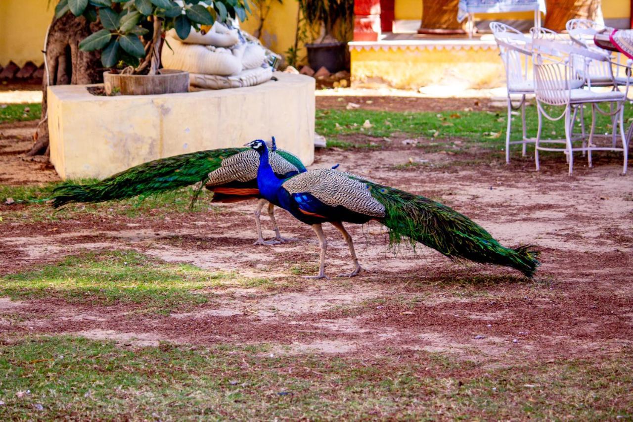 Anuraag Villa Jaipur Extérieur photo